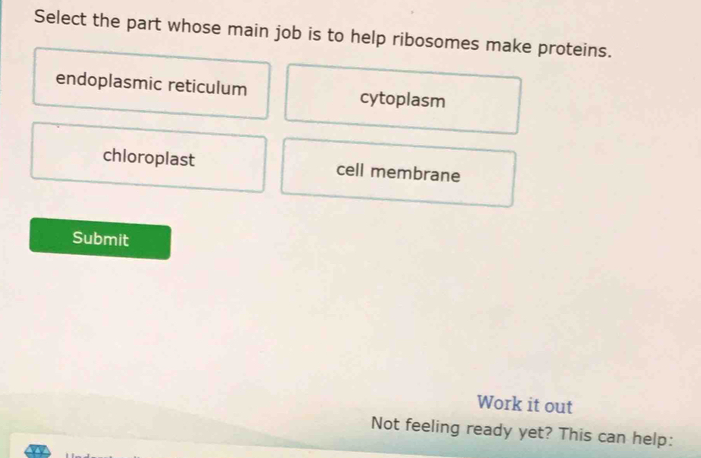 Select the part whose main job is to help ribosomes make proteins.
endoplasmic reticulum cytoplasm
chloroplast cell membrane
Submit
Work it out
Not feeling ready yet? This can help: