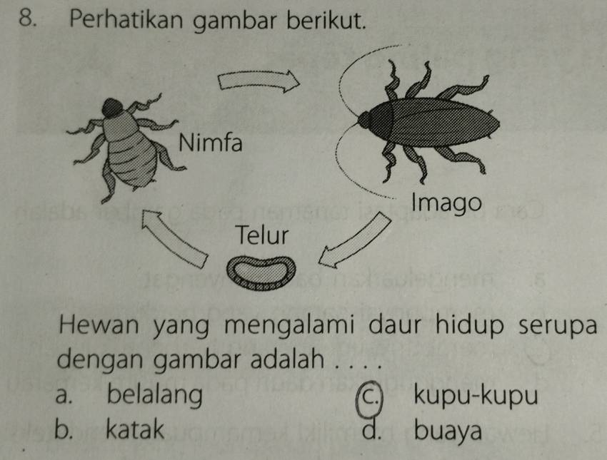 Perhatikan gambar berikut.
Hewan yang mengalami daur hidup serupa
dengan gambar adalah . . . .
a. belalang c.) kupu-kupu
b. katak d. buaya