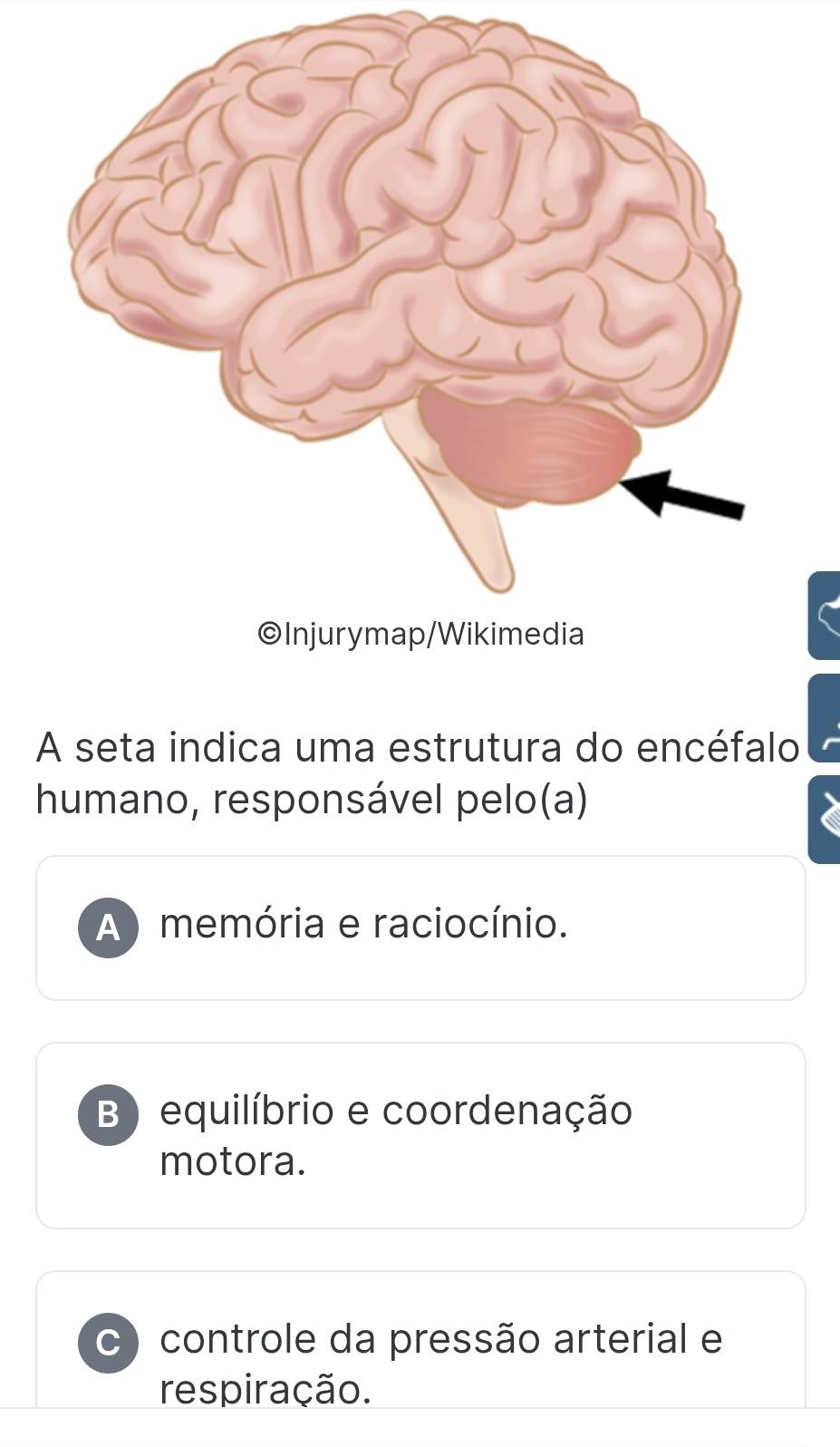 A seta indica uma estrutura do encéfalo
humano, responsável pelo(a)
A) memória e raciocínio.
B) equilíbrio e coordenação
motora.
C) controle da pressão arterial e
respiração.