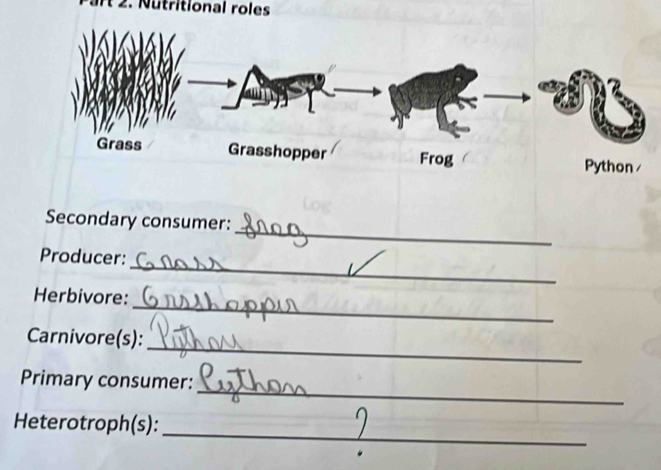 Nutritional roles 
_ 
Secondary consumer: 
_ 
Producer: 
_ 
Herbivore: 
_ 
Carnivore(s): 
_ 
Primary consumer: 
_ 
Heterotroph(s):