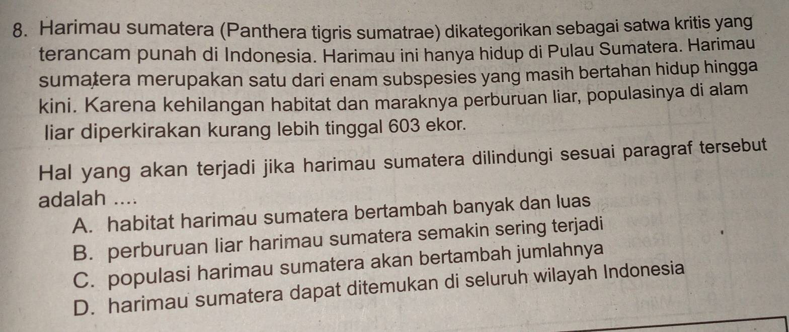 Harimau sumatera (Panthera tigris sumatrae) dikategorikan sebagai satwa kritis yang
terancam punah di Indonesia. Harimau ini hanya hidup di Pulau Sumatera. Harimau
sumatera merupakan satu dari enam subspesies yang masih bertahan hidup hingga
kini. Karena kehilangan habitat dan maraknya perburuan liar, populasinya di alam
liar diperkirakan kurang lebih tinggal 603 ekor.
Hal yang akan terjadi jika harimau sumatera dilindungi sesuai paragraf tersebut
adalah ....
A. habitat harimau sumatera bertambah banyak dan luas
B. perburuan liar harimau sumatera semakin sering terjadi
C. populasi harimau sumatera akan bertambah jumlahnya
D. harimau sumatera dapat ditemukan di seluruh wilayah Indonesia