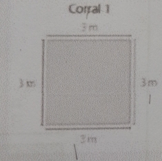 Corral 1