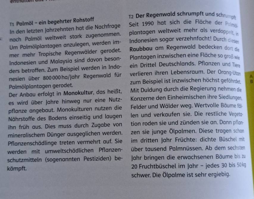 T2 Der Regenwald schrumpft und schrumpf
T1 Palmöl - ein begehrter Rohstoff
In den letzten Jahrzehnten hat die Nachfrage Seit 1990 hat sich die Fläche der Polma
nach Palmöl weltweit stark zugenommen. plantagen weltweit mehr als verdoppelt in
Um Palmölplantagen anzulegen, werden im- Indonesien sogar verzehnfacht! Durch diesen
mer mehr Tropische Regenwälder gerodet. Raubbau am Regenwald bedecken dort die
Indonesien und Malaysia sind davon beson-  Plantagen inzwischen eine Fläche so groß wie
ders betroffen. Zum Beispiel werden in Indo- ein Drittel Deutschlands. Pflanzen und Tiere
nesien über 800 000 ha/Jahr Regenwald für verlieren ihren Lebensraum. Der Orang-Utan A
zum Beispiel ist inzwischen höchst gefährdet B
Palmölplantagen gerodet.
Der Anbau erfolgt in Monokultur, das heißt, Mit Duldung durch die Regierung nehmen die
es wird über Jahre hinweg nur eine Nutz- Konzerne den Einheimischen ihre Siedlungen.
pflanze angebaut. Monokulturen nutzen die  Felder und Wälder weg. Wertvolle Bäume fäl
Nährstoffe des Bodens einseitig und laugen len und verkaufen sie. Die restliche Vegeta
ihn früh aus. Dies muss durch Zugabe von tion roden sie und zünden sie an. Dann pflan-
mineralischem Dünger ausgeglichen werden. zen sie junge Ölpalmen. Diese tragen schon
Pflanzenschädlinge treten vermehrt auf. Sie  im dritten Jahr Früchte: dichte Büschel mit
werden mit umweltschädlichen Pflanzen- über tausend Palmnüssen. Ab dem sechsten
schutzmitteln (sogenannten Pestiziden) be- Jahr bringen die erwachsenen Bäume bis zu
kämpft.  20 Fruchtbüschel im Jahr - jedes 30 bis 50kg
schwer. Die Ölpalme ist sehr ergiebig.