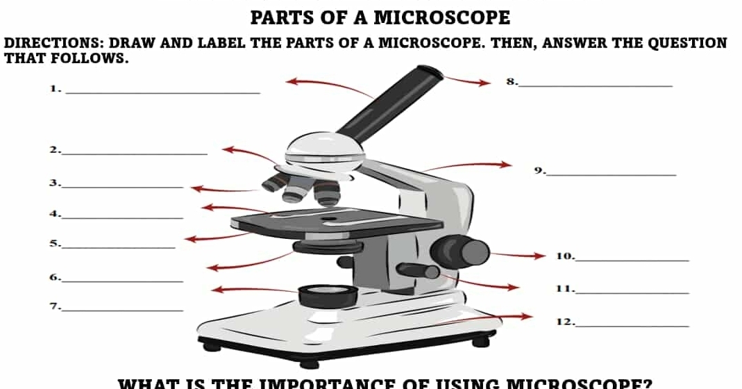 Solved: PARTS OF A MICROSCOPE DIRECTIONS: DRAW AND LABEL THE PARTS OF A ...