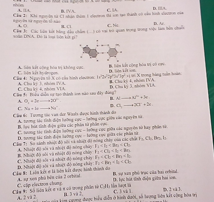 Cau 1: Oxide cáo nhất của nguyen to X có đạng X
nhóm
A. IIA. B. [VA. C. IA. D. ⅢA.
Câu 2: Khi nguyên tử Cl nhận thêm I electron thì ton tạo thành có cầu hình electron của
nguyên tứ nguyên tổ nào
A. O. B. CL C. Ne D. Ar.
Câu 3: Các liên kết băng đầu chẩm (...) có vai trò quan trọng trong việc làm bên chuỗi
xoắn DNA. Đó là loại liên kết gì?
A. liên kết cộng hóa trị không cực. B. liên kết cộng hóa trị có cực.
C. liên kết hydrogen. D. liên kết ion.
Câầu 4: Nguyên tổ X có cầu hình electron: 1s^22s^22p^63s^23p^2. vị tri X trong bảng tuần hoàn:
A. Chu kỳ 3, nhóm IVA. B. Chu kỳ 4, nhóm IVA.
C. Chu kỳ 4, nhóm VIA. D. Chu kỳ 3, nhóm VIA
Câu 5: Biểu diễn sự tạo thành ion nào sau đây dứng?
A. O_2+2eto 2O^(2-).
B. AIto AI^(3+)+3e.
C. Na+leto Na^+.
D. Cl_2to 2Cl^-+2e.
Câu 6: Tương tác van der Waals được hình thành do
A. tương tác tĩnh điện lưỡng cực - lưỡng cực giữa các nguyên tử.
B. lực hút tĩnh điện giữa các phân tử phân cực.
C. tương tác tĩnh điện lưỡng cực - lưỡng cực giữa các nguyên tử hay phân tử.
D. tương tác tĩnh điện lưỡng cực - lưỡng cực giữa các phân tử.
Câu 7: So sánh nhiệt độ sôi và nhiệt độ nóng chảy của các chất F_2,Cl_2,Br_2,I_2.
A. Nhiệt độ sôi và nhiệt độ nóng chây: F_2
B. Nhiệt độ sôi và nhiệt độ nóng chảy: F_2
C. Nhiệt độ sối và nhiệt độ nóng chảy: F_2
D. Nhiệt độ sôi và nhiệt độ nóng chảy: F_2
Câu 8: Liên kết σ là liên kết được hình thành do
A. sự xen phủ bên của 2 orbital. B. sự xen phủ trục của hai orbital.
C. cặp electron chung. D. lực hút tĩnh điện giữa hai ion.
Câu 9: Số liên kết σ và π có trong phân tử C_2H_2 lần lượt là
A. 2 và 2. B. 3 và 2, C. 3 và 1. D. 2 và 3.
n của kim cương được biểu diễn ở hình dưới, số lượng liên kết cộng hóa trị