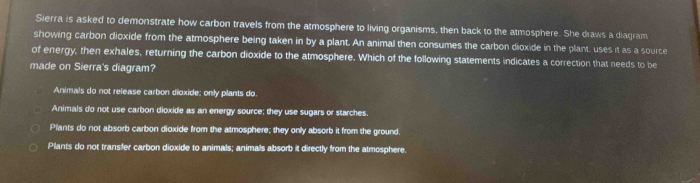 Sierra is asked to demonstrate how carbon travels from the atmosphere to living organisms, then back to the atmosphere. She draws a diagram
showing carbon dioxide from the atmosphere being taken in by a plant. An animal then consumes the carbon dioxide in the plant. uses it as a source
of energy, then exhales, returning the carbon dioxide to the atmosphere. Which of the following statements indicates a correction that needs to be
made on Sierra's diagram?
Animals do not release carbon dioxide; only plants do
Animals do not use carbon dioxide as an energy source; they use sugars or starches.
Plants do not absorb carbon dioxide from the atmosphere; they only absorb it from the ground.
Plants do not transfer carbon dioxide to animals; animals absorb it directly from the atmosphere.