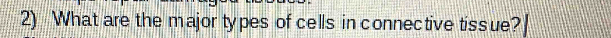 What are the major types of cells in connective tissue?