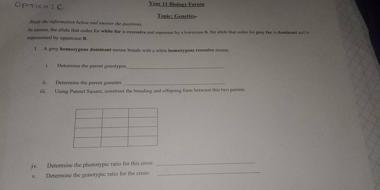 OPTIO n: C 
Year 11 Biology Forum 
Topic: Genetics 
Study the information below and answer the questions. 
In mouse, the allele that codes for white fur is recessive and represent by a lowercase b. the allele that codes for grey fur is dominant and is 
represented by uppercase B. 
1. A grey homozygous dominant mouse breeds with a white homozygous recessive mouse, 
i. Determine the parent genotypes._ 
ii. Determine the parent gametes_ 
iii. Using Punnet Square, construct the breeding and offspring form between this two parents. 
iv. Determine the phenotypic ratio for this cross:_ 
v. Determine the genotypic ratio for the cross: 
_