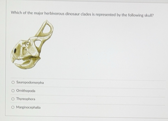 Solved: Which of the major herbivorous dinosaur clades is represented ...