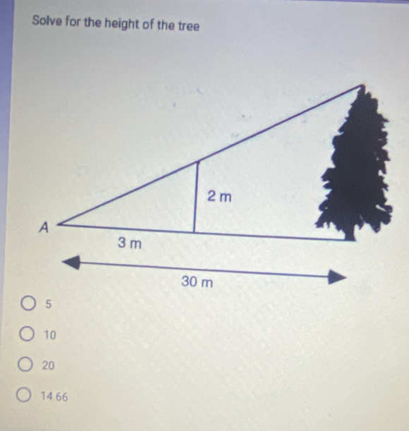 Solve for the height of the tree
10
20
14.66