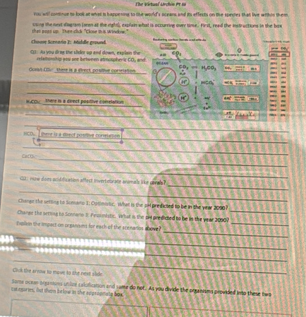 The Virtual Urchin Pt N 
you will cominue to look at what is happening to the world's oceans and its effects on the spectes that live within them 
using the next diagram (seen at the right), explain what is occurring over time. First, read the instructions in the box 
that paps up. Then click "Close this Window." 
Choose Scenaria 2: Middle ground. 
-- 59x°
C3. As you drag the slider up and down, explain the c_8
relationship you see between atmcapheric CO_1 and: 
m B1
Ocean CD: there is a direct, positive correlation CO_2= H_2CO_3 ∞. m∠ O
20 “ 
_ 
_ H° HCO_2 ale 
_ 
m
H° m°
H. CO there is a direct positive correlation 
~ 
MS 27 
_ 
2 
_ 
_ 
_ 
HCO. there is a direct positive correlation 
CaCO 
_ 
_ 
_ 
_ 
C2. How does acidification affect invertebrate arsmals like corels? 
_ 
_ 
Change the setting to Scenario 1; Oplimistic. What is the pH predicted to be in the year 20907
_ 
Change the setting to Scenario 3: Pessimistic. What is the pH predicted to be in the year 20907
_ 
Explain the impact on organisms for each of the scenarios above? 
_ 
_ 
Click the arrow to move to tshe nexs slide 
_ 
Some ocean organisms unlire calcification and same do not. As you divide the organisms provided into these two 
categories. (st them below in the appropriate box