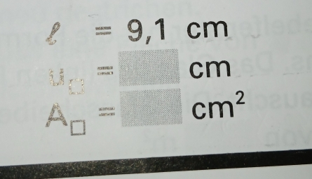 ell =9,1cm
u_13=□ cm
A_□ =□ cm^2