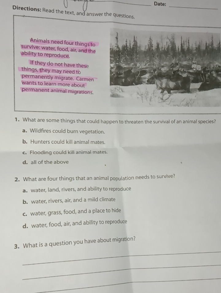 Date:_
Directions: Read the text, and answer the questions.
Animals need four things to
survive: water, food, air, and the
ability to reproduce.
If they do not have these
things, they may need to
permanently migrate. Carmen
wants to learn more about
permanent animal migrations.
1. What are some things that could happen to threaten the survival of an animal species?
a. Wildfires could burn vegetation.
b. Hunters could kill animal mates.
c. Flooding could kill animal mates.
d. all of the above
2. What are four things that an animal population needs to survive?
a. water, land, rivers, and ability to reproduce
b. water, rivers, air, and a mild climate
c. water, grass, food, and a place to hide
d. water, food, air, and ability to reproduce
_
3. What is a question you have about migration?
_
_