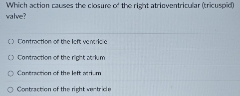 Which action causes the closure of the right atrioventricular (tricuspid)
valve?
Contraction of the left ventricle
Contraction of the right atrium
Contraction of the left atrium
Contraction of the right ventricle