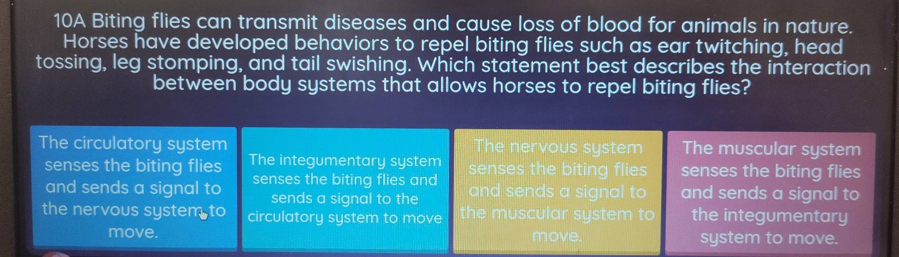 10A Biting flies can transmit diseases and cause loss of blood for animals in nature.
Horses have developed behaviors to repel biting flies such as ear twitching, head
tossing, leg stomping, and tail swishing. Which statement best describes the interaction -
between body systems that allows horses to repel biting flies?
The circulatory system The nervous system The muscular system
senses the biting flies The integumentary system senses the biting flies senses the biting flies
and sends a signal to senses the biting flies and and sends a signal to and sends a signal to
sends a signal to the
the nervous system to circulatory system to move the muscular system to the integumentary
move. move. system to move.