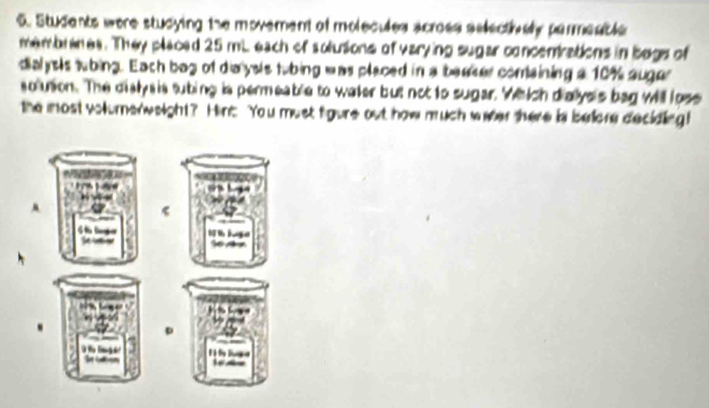 Students were studying the movement of molecules acrose selectively permenble 
membrenes. They placed 25 mL each of solusions of varying sugar concentrations in begs of 
dialysls tubing. Each bog of dia yels tubing was placed in a beaker comaining a 10% auger 
solusion. The dialys is subing is permeable to water but not to sugar. Which dialys's bag will loss 
the most volumerweight? Hint You must figure out how much weter there in belore deciding