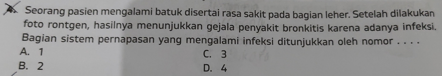 Seorang pasien mengalami batuk disertai rasa sakit pada bagian leher. Setelah dilakukan
foto rontgen, hasilnya menunjukkan gejala penyakit bronkitis karena adanya infeksi.
Bagian sistem pernapasan yang mengalami infeksi ditunjukkan oleh nomor . . . .
A. 1 C. 3
B. 2 D. 4