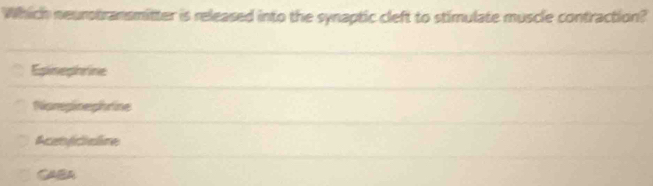 Which neurstransmitter is released into the synaptic cleft to stimulate muscle contraction?
Eplinephrine
Niprepinephrine
Acatécicire
CABA