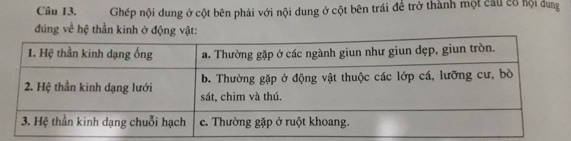 Ghép nội dung ở cột bên phải với nội dung ở cột bên trái để trở thành một cau có nọi dung 
đúng về hệ thần kinh ở động vật: