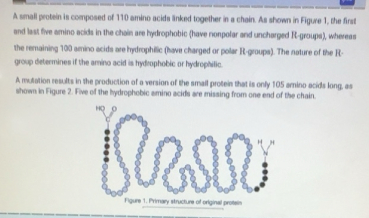 Solved: A small protein is composed of 110 amino acids linked together ...