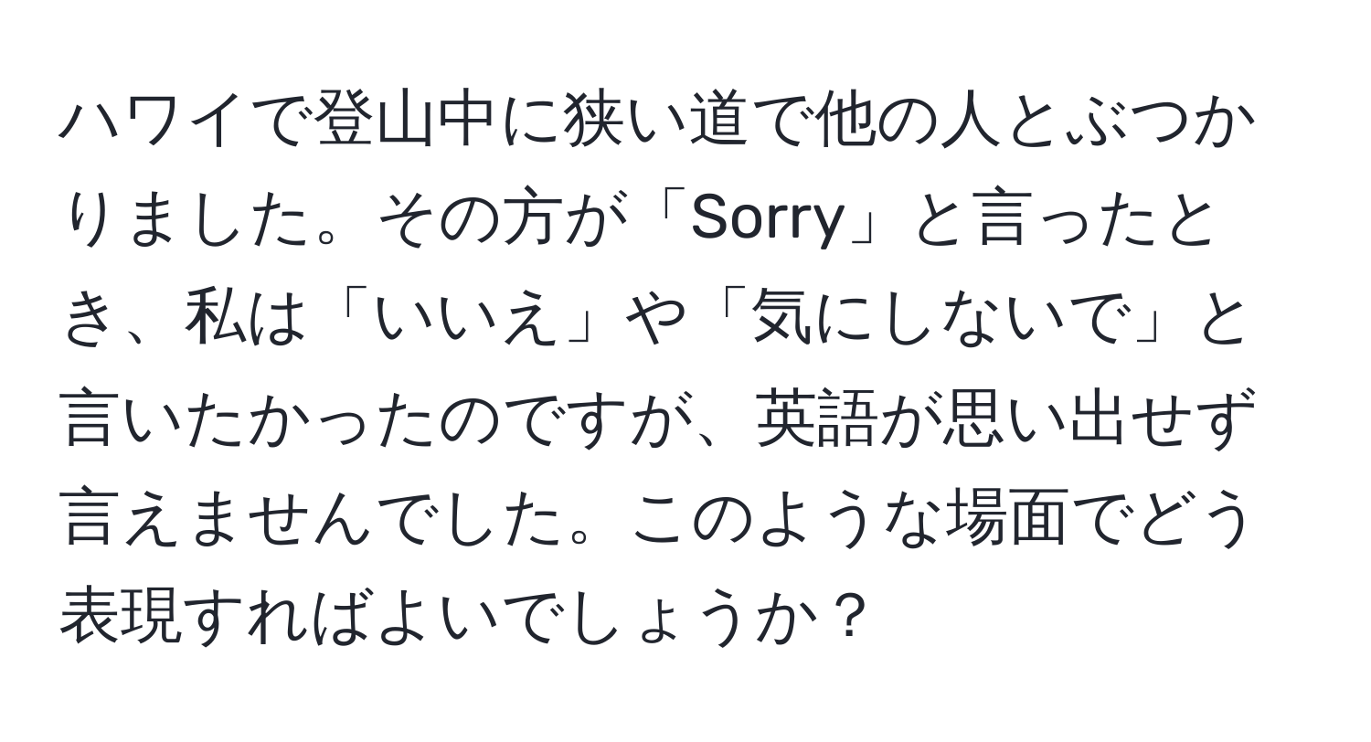 ハワイで登山中に狭い道で他の人とぶつかりました。その方が「Sorry」と言ったとき、私は「いいえ」や「気にしないで」と言いたかったのですが、英語が思い出せず言えませんでした。このような場面でどう表現すればよいでしょうか？