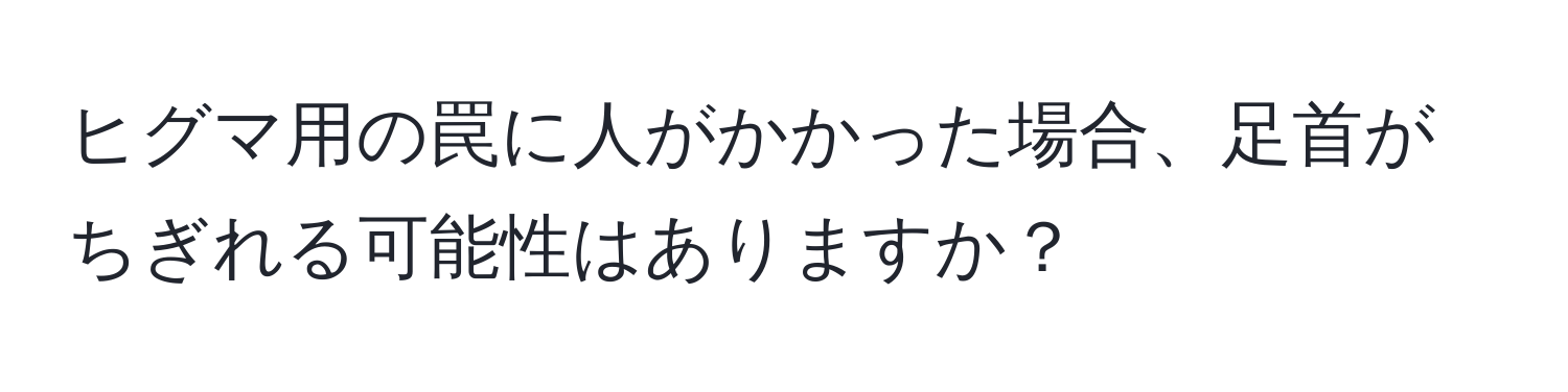 ヒグマ用の罠に人がかかった場合、足首がちぎれる可能性はありますか？