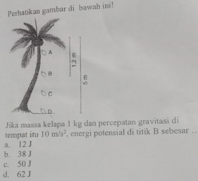 Perhatikan gambar di bawah ini!
Jika massa kelapa 1 kg dan percepatan gravitasi di
tempat itu 10m/s^2 , energi potensial di titik B sebesar . .
a. 12 J
b. 38 J
c. 50 J
d. 62 J