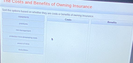 The Costs and Benefits of Owning Insurance
Sort the options based on whether they are costs or benefits of owning insurance.
copayments Costs Benefits
premiums
risk management
prolection from devastating costs
peace of mind
deductibles