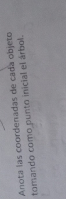 Anota las coordenadas de cada objeto 
tomando como punto inicial el árbol.