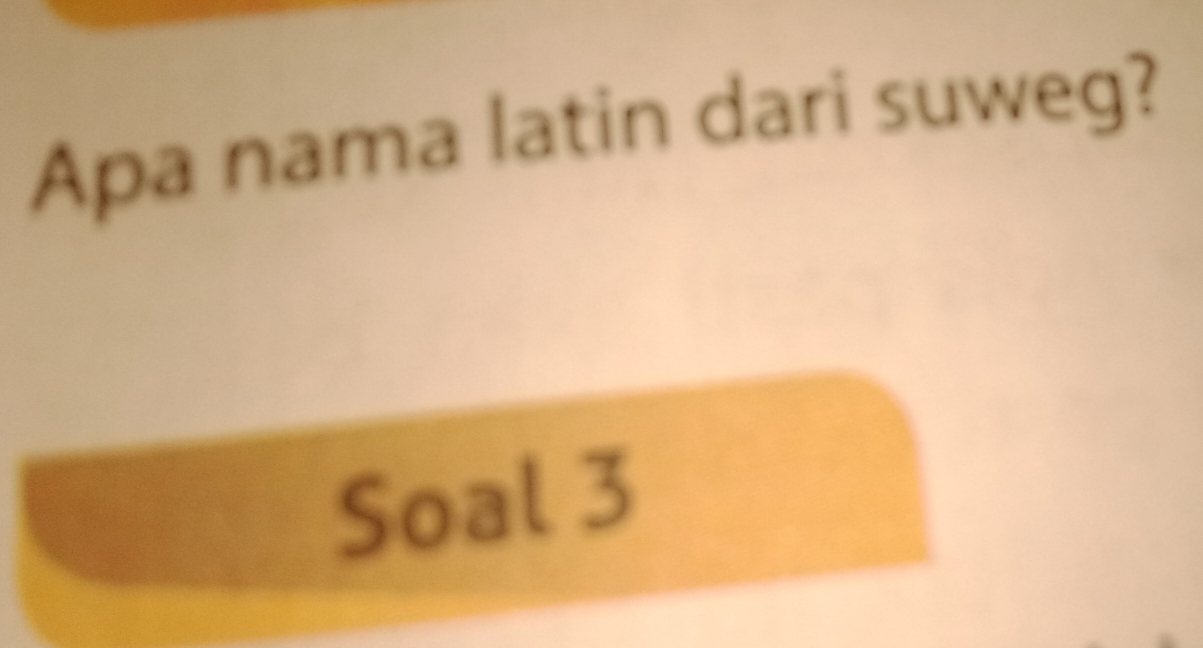 Apa nama latin dari suweg? 
Soal 3