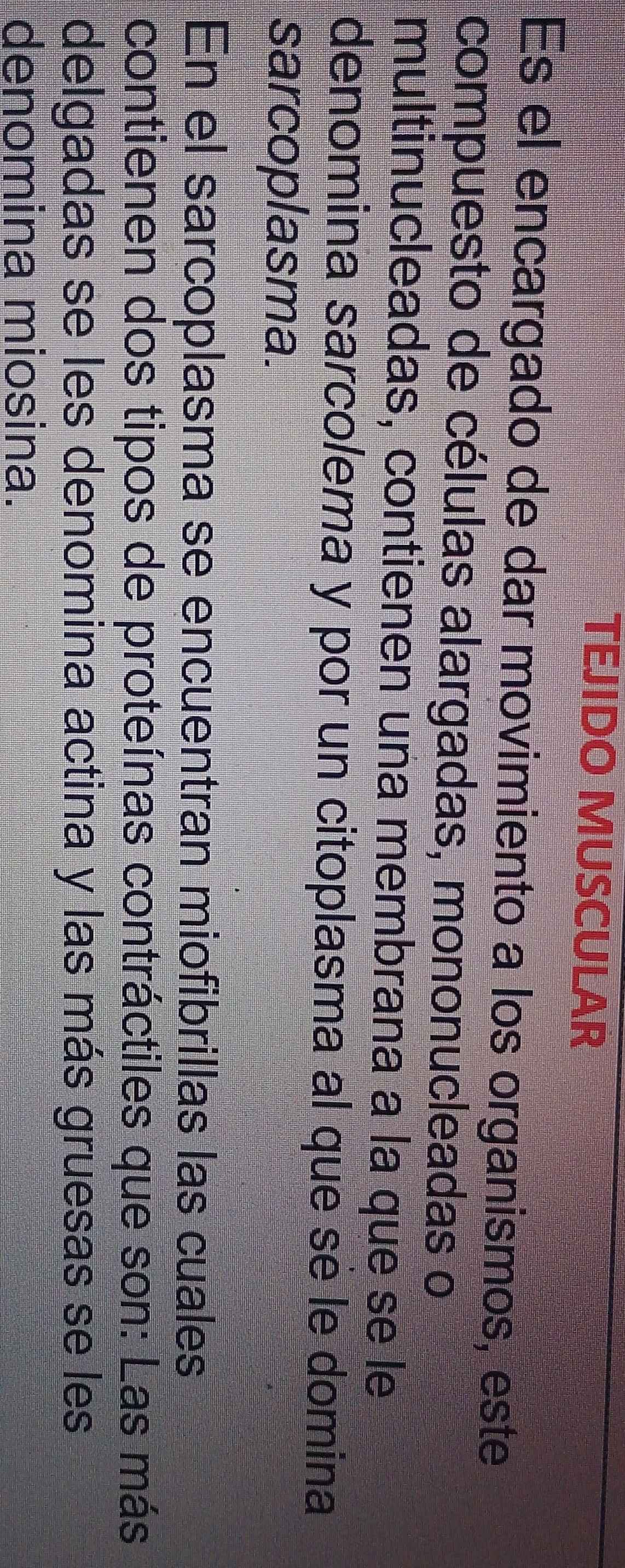 TEJIDO MUSCULAR 
Es el encargado de dar movimiento a los organismos, este 
compuesto de células alargadas, mononucleadas o 
multinucleadas, contienen una membrana a la que se le 
denomina sarcolema y por un citoplasma al que sé le domina 
sarcoplasma. 
En el sarcoplasma se encuentran miofibrillas las cuales 
contienen dos tipos de proteínas contráctiles que son: Las más 
delgadas se les denomina actina y las más gruesas se les 
denomina miosina.