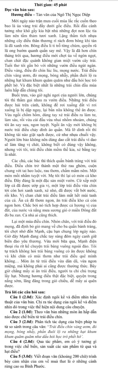 Thời gian: 45 phát
Đọc văn bản sau:
Hương điều - Tản văn của Ngô Thị Ngọc Diệp
Mới ngày nào trận mưa cuối mùa lắc rắc cuốn theo
bao lá ủa vàng trái đầy đưới gốc điều. Rồi đầu cảnh
tưởng như khổ gầy kia bật nhú những đọt non lộc tía
làm nên tầm thảm tươi xanh. Lặng thầm tích nhựa
những cây điều thân thương rí rách đơm bông khi tán
lá đã xanh rờn. Bông điều li ti trỗ từng chùm, quyển rũ
lũ ong bướm quanh quần say mê. Vậy là đã hơn chín
tháng trôi qua, hương điều mới chợt ủa về ngòn ngọt,
chan chát đặc quánh không gian miệt vườn cây trái.
Tuổi thơ tôi gắn bó với những vườn điều ngút ngàn.
Điều vàng, điều đỏ chín lúc liu, mọng nước. Trái điều
chín vàng ươm, đỏ mọng, bóng nhẫy, phần đuôi lộ ra
những hạt khum khum quăm quãm như dấu hỏi học trò
phết hờ. Và đặc biệt nhất là những trái chín đầu mùa
luôn hấp dẫn chúng tôi.
Buổi trưa, vào giờ nghi ngơi của người lớn, chúng
tôi thì thầm gọi nhau ra vườn điều. Những trái điều
được hái trên cành, không đề rơi xuống đắt vì rơi
xuống là bị dập ngay, lại bản nữa không thể ăn được.
Vừa ngồi chồm hồm, dùng tay xé trái điều ra làm tư,
làm sáu, rồi vừa cúi đầu vừa nhai nhồm nhoàm, chúng
tôi ăn say sưa, ngon tuyệt. Ngồi ăn vậy mới không bị
nước trái điều chảy dính áo quần. Mà lỡ dính rồi thì
không tải nào giặt sạch được, cứ như nhựa chuối vậy.
Người lớn bảo không nên dùng dao cắt trải điều vì đao
sẽ làm tăng vị chát, không biết có đúng vậy không,
nhưng với tôi, trái điều chín mềm thế kia, xé bằng tay
là nhât
Các chú, các bác thì thích quần bánh tráng với trái
điều. Điều chín trở thành một thứ rau ghém, cuộn
chung với tai heo luộc, rau thơm, chẩm mắm nêm. Một
món mồi nhắm tuyệt vời. Mẹ tôi thì lại có món cá kho
điều. Đây đúng là một đặc sản miệt vườn. Cứ xếp một
lớp cá đã được ướp gia vị, một lớp trái điều vừa chin
tới còn hơi xanh xanh, xé nhỏ, đã được vắt bớt nước,
rồi kho. Vị chan chát trái điều làm mắt hết mùi tanh
của cá. Ăn cá đã thơm ngon, ăn trái điều kho cá còn
ngon hơn. Chắc bởi nó tích hợp được cả hương vị của
đất, của nước và nắng mưa sương gió ở miền Đông đất
đỏ ba zan. Cả nhà ai cũng thích.
Lại một mùa điều chín. Nhón chân, với trái điều đỏ
mọng, đã định bỏ gió mang về cho ba quần bánh tráng,
tôi chợt nhớ đến Mạnh, cậu bạn chung lớp ngày nào.
Giờ đây Mạnh đang chắc tay súng đêm ngày canh giữ
biền đảo yêu thương. Vừa mới bữa qua, Mạnh điện
thoại ríu rít kể chuyện trái bàng vuông ngoài đảo. Tôi
tự trách không hòi trái bàng vuông có ăn được không
và khi chín có mùi thơm như trái điều quệ mình
không... Món ăn từ trái điều vừa dân dã, vừa ngon
miệng, mả không phải ai cũng được thưởng thức. Bây
giờ chăng mấy ai ăn trái điều, người ta chỉ chú trọng
lấy hạt. Nhưng hương điều thật đặc biệt, quyện trong
năng sớm, lãng đãng trong gió chiếu, dể mẫy ai quên
được.
Trả lời các câu hỏi sau:
Câu 1 (2.0đ): Xác định ngôi kể và điểm nhìn trần
thuật của văn bản. Chi ra tác dụng của ngôi kể và điểm
nhìn đó trong việc thể hiện nội dung câu chuyện.
Câu 2 (1.0đ): Theo văn bản những món ăn hấp dẫn
nào được chế biển từ trái điều chín.
Câu 3 (2.0đ): Phân tích tác dụng của biện pháp tu
từ so sánh trong câu văn: “Trái điều chín vàng ươm, đỏ
mọng, bóng nhẫy, phần đuôi lộ ra những hạt khum
khum quăm quăm như dấu hỏi học trò phết hờ'.
Câu 4 (2.0d): Qua tác phẩm, em có ý tưởng gì
trong việc chế biển, sản xuất các sản phầm từ quả và
hạt điều?
Câu 5 (3.0đ): Viết đoạn văn (khoảng 200 chữ) trình
bảy cảm nhận của em về muà that lá ở những cảnh
rừng cao su Bình Phước.