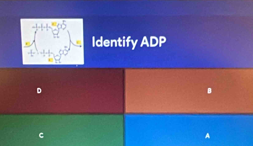 Identify ADP
D
B
A