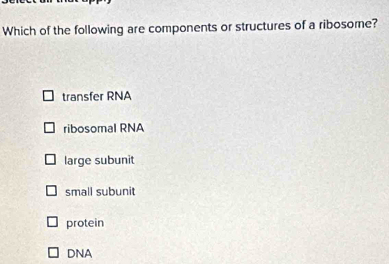 Which of the following are components or structures of a ribosome?
transfer RNA
ribosomal RNA
large subunit
small subunit
protein
DNA