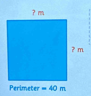 Perimeter =40m