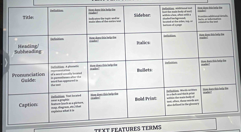 TEXT FEATURES TERMS