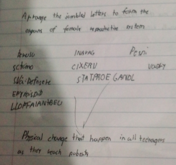 Arrange the jombled letters to form the 
organs of fomale reproketive sstem 
teneso INAAG Pesn 
sctimo CIXERD vachy 
sahefnsere SiATPAOE CANDL 
Eermis pib 
LLOPFAIANABEC 
Pysical change that happen in all teenagers 
as they reach pober