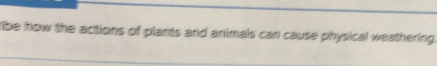 libe how the actions of plants and animals can cause physical weathering.