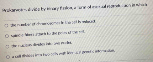 Prokaryotes divide by binary fission, a form of asexual reproduction in which
the number of chromosomes in the cell is reduced.
spindle fibers attach to the poles of the cell.
the nucleus divides into two nuclei.
a cell divides into two cells with identical genetic information,