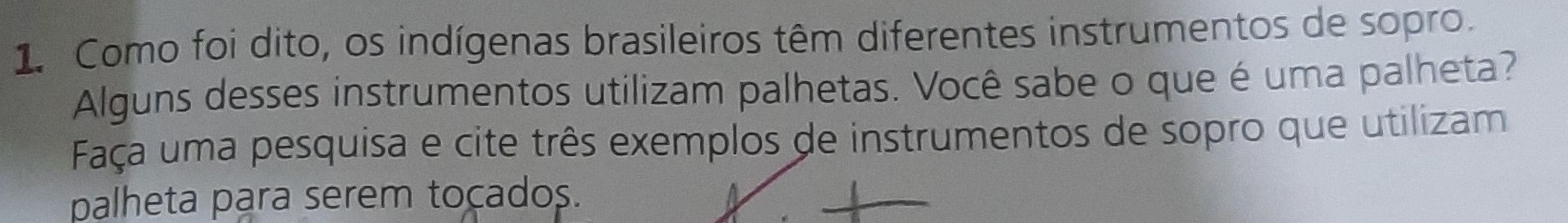 Como foi dito, os indígenas brasileiros têm diferentes instrumentos de sopro. 
Alguns desses instrumentos utilizam palhetas. Você sabe o que é uma palheta? 
Faça uma pesquisa e cite três exemplos de instrumentos de sopro que utilizam 
palheta para serem tocados.