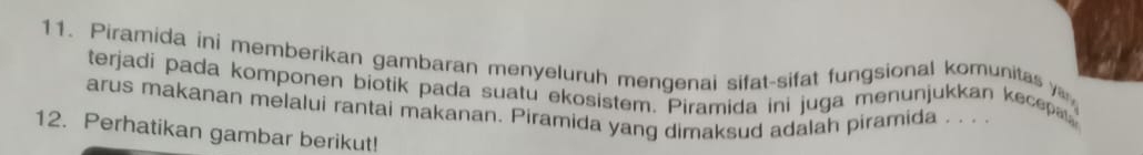 Piramida ini memberikan gambaran menyeluruh mengenai sifat-sifat fungsional komunitas 
terjadi pada komponen biotik pada suatu ekosistem. Piramida ini juga menunjukkan kecep 
arus makanan melalui rantai makanan. Piramida yang dimaksud adalah piramida . . . . 
12. Perhatikan gambar berikut!