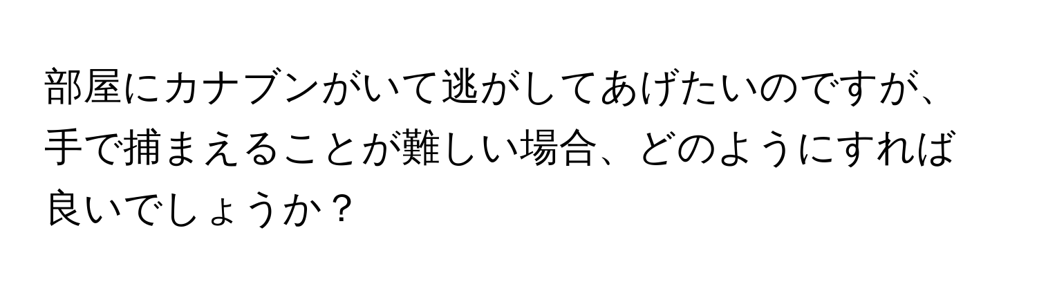 部屋にカナブンがいて逃がしてあげたいのですが、手で捕まえることが難しい場合、どのようにすれば良いでしょうか？