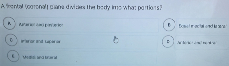 Solved: A frontal (coronal) plane divides the body into what portions ...