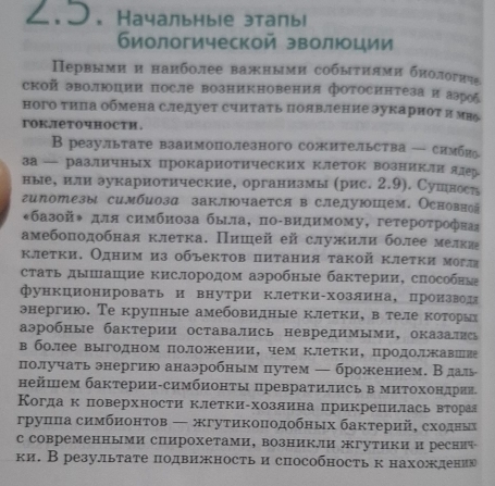 ८.ɔ. Начальныiе этапы
биологической эволюции
Первымии нанболее важными собыτиями биологиче
ской эволюции после возникновения фотосинтеза и азроδ
ного тила обмена следует считать появление эукарнот и мв
гоклеточности.
B результате взаимополезного сожительства — симби
за — различных прокариотических клеток возникли ялер
ные, или зукариотические, организмы (рис. 2.9). Сушнось
гипотезы симбиоза заключается в следуюшем. Основной
*базой◆ для симбиоза быιла, по-видимому, гетероτрофная
амебоподобная клетка. Πишей ей служили более мелкие
κлетки. Одним из объектов питания τакой κлетки могл
сτаτь дыπΠашие кислородом аэробные бактерии, способные
функционировать и внутри клетки-хозлина, производ
энергию. Те крулные амебовидные клетки, в теле коеторίых
аэробные бактерии оставались невредимыми, оказались
в более выгодном положении, чем клетки, цродолжавшие
получать энергию анаэробным путем — брожением. В дал
нейшем бактерии-симбионτы превратились в миΤохондрии
Когдак поверхности клеткиαхозлина црикрецилась вторая
груππа симбионтов ← жгутикоподобных бактерий, сходных
ссовременными спирохетами, возникли жгутики и реснич
ки. Врезультате πодвиностьи способность к нахождению