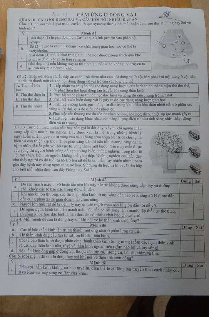 cảm ứng ở động vật
phân III, câu hỏi đùng sai và câu hỏi nôi nhiều đáp ản
Cần 1. Hình sau mô tả qua trình truyền tin qua synapse thần kinh, mỗi nhận định sau đây là Đũng hay Sai về
Câu 2. Ghép nội dung nhiều đáp ản cách tính điểm như câu hòi đùng sai ở cột bên phải với nội dung ở cột bên
não hay còn gọi là đột quy, xây ra khi nguồn máu
cung cấp cho não bị tắc nghên. Đây được xem là một trong những bệnh lý
nguy hiểm nhất, nguy cơ từ vong cao nều không sớm nhận biết triệu chứng tai
biển và can thiệp kịp thời Thời gian căng dài thì não tồn thương cảng năng,
bệnh nhân sẽ tiên gần với bờ vực tủ vong thêm một bước. Nếu may mắn được
cứu sống thi người bệnh cũng dễ gặp những biển chứng nghiêm trọng như tê
liệt tay chân, liệt nữa người, không thể giao tiếp. Những nghiên cứu gần đây
cho thầy người có độ tuổi từ 65 trở lên rắt dễ bị tai biển, tuy nhiên những năm
gân đây bệnh này càng ngày cảng trẻ hóa. Sử dụng dữ liệu và hình vẽ trên hãy
cho biết mỗi nhận định sau đây Đủng hay Sai ?
Y Mệnh đề Đủng Sai
Do các mạch máu bị võ hoặc tắc nên lúc này não sẽ không được cung cấp oxy và đưỡng
a chất khiển các tế bào não trong đó chết dẫn
Khi não bị tồn thương, các tín hiệu thần kinh từ tủy sống đến não sẽ không xử lý được dẫn
b. đến cung phản xạ sẽ gián đoạn mắt chức năng.
c Người lớn tuổi rất để bị bệnh lý này đo các mạch màu não bị giòn dẫn tới dễ vỡ.
Để ngăn ngừa bệnh tai biển mạch máu não cần có lối sống là