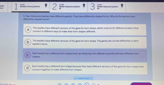 Brief Multiple-Choice Questions C1A/UE CLAS/ Réntten Response Question Written-Response Question CLASS
e>
#1
#2
5. Two rhinoceros beetles have different parents. They have differently shaped horns. Why do the beetles have
differently shaped horns?
The beetles have different versions of the gene for horn shape, which instruct for different proteins that
a connect in different ways to make their horn shapes different.
b The beetles have different versions of the gene for hom shape. The genes are curved differently in each
beetle's horns.
Each beetle has a different horn shape because offspring from different parents will have different horn
C shapes.
Each beetle has a different horn shape because they have different versions of the gene for horn shape that
d connect together to make different horn shapes.
↓ Scrall for more