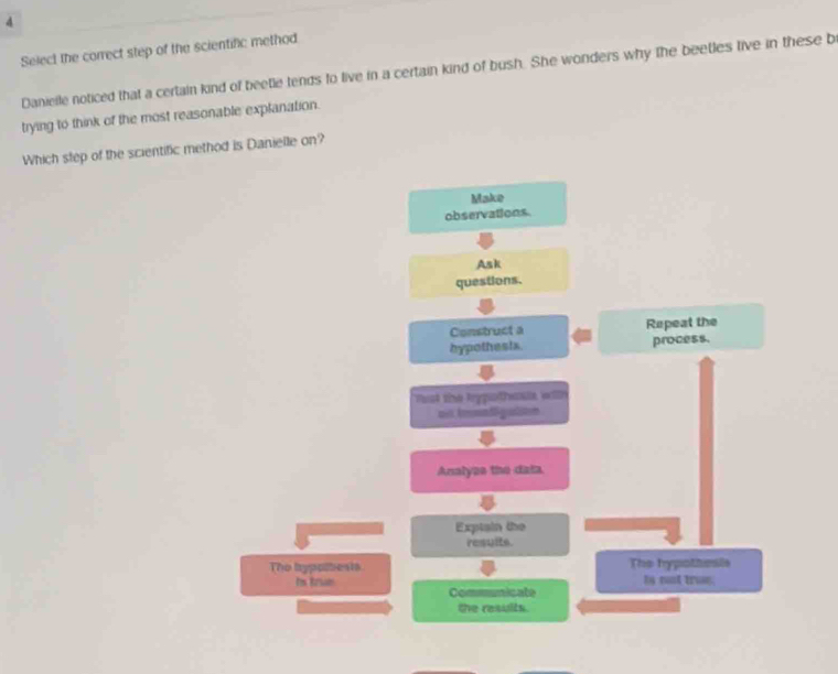 Select the correct step of the scientific method 
Danielle noticed that a certain kind of beetle tends to live in a certain kind of bush. She wonders why the beetles tive in these b 
trying to think of the most reasonable explanation. 
Which step of the scientific method is Danielle on? 
Make 
observations. 
Ask 
questions. 
Construct a Repeat the 
hypothes is. process. 
st the lypothoua will 
mit Amenfgsen 
Analyze the data. 
Exptain the 
resuits. 
The hypoltests The hypothesis 
by mot trun. 
Im Brun Communicate 
the results.