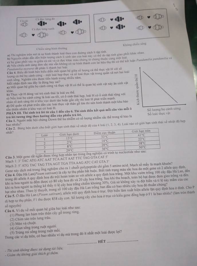 Cá đực lưng đo
C á ca
Cá đực ling xanh
Chiếu sáng binh thường Không chiếu sáng
a) Thí nghiệm trên mô ta sự hình thành loài theo con đường cách lí tập tính.
b) Nguyễn nhân dẫn đễn hiện tượng cách li sinh sản của loài này có thể đo tập tinh giao phối khác nhau
c) Sự giao phối xây ra giữa cá cái và cả đực khác màu chứng to chúng thuộc cùng một loài
d) Nếu chiều ảnh sáng đơn sắc mà vận không có sự hình thành con lai hữu thụ thì có thể kết luận Pundamilia pundamilia và
Pundamilia nyererei đã phân lí thành hai loài
Câu 4. Biểu đồ hình bên biểu diễn mối quan hệ giữa số lượng cá thể thực vật H với số
lượng cá thể bọ cánh cứng - một loài hẹp thực và số loài thực vật trong quần xã nơi hai loài
sinh sống. Nghiên cứu được tiền hành trong nhiều năm.
Mỗi nhận định sau đây là đùng hay sai?
a) Mối quan hệ giữa bọ cánh cứng và thực vật H có thể lá quan hệ sinh vật này ăn sinh vật
khác.
b) Thực vật H đóng vai trò sinh thái là loài ưu thể.
c) Nếu loài bọ cánh cứng là loài ưa tối, có ỗ sinh thái hẹp, loài H có ổ sinh thái rộng với
nhân tổ ảnh sáng thi ở khu vực dưới tán hoặc gốc cây thì loài H phát triển mạnh.
d) Để quân xã phát triển dẫn các loài thực vật thân gỗ lớn thì nên hình thành một khu bắo
tổn thiên nhiên ở khu vực có loài H
PHẢN III. Thí sinh trã lời từ câu 1 đến câu 6. Thí sinh điễn kết quả mỗi câu vào mỗi ô
trả lời tương ứng theo hướng dẫn của phiếu trã lời.
Câu 1. Người mắc hội chứng Down thể ba nhiễm có số lượng nhiễm sắc thể trong tế bão l
bao nhiêu?
Câu 2. Bảngới hạn sinh thái về nhiệt độ của 4 loài (1. 2, 3. 4). Loài nào có giới hạn sinh thái về nhiệt độ hẹp
nhắt?
Câu 3. Một gene rắt ngắn được tổng hợ
Mach 1: 3’ TAC ATG ATC AAT TCA ACT AAT TTC TAG GTA CAT 5
Mạch 2: 5° ATG TAC TAG TTA AGT TGA TTA AAG ATC CAT GTA 3°
Gene này dịch mã trong ổng nghiệm cho ra 1 chuỗi polypeptide chỉ gồm 5 amino acid. Mạch số mấy là mạch khuôn?
Câu 4. Đậu Hà Lan(Pisum sativum) là cây tự thụ phần bắt buộc. Biết tinh trạng màu sắc hoa do một gene có 2 allele quy định.
trong đó allele A quy định hoa đỏ trội hoàn toàn so với allele a quy định hoa trắng. Một khu vườn trồng 100 cây đậu Hà Lan, đến
khi ra hoa người ta đếm được có 80 cây hoa đỏ và 20 cây hoa trắng. Sau khi thu hoạch, toàn bộ hạt được đem gieo trồng và đến
khi ra hoa người ta thống kê thấy tỉ lệ cây hoa trắng chiếm khoáng 30%. Giả sử không xây ra đột biển và tì lệ này mằm của các
hat như nhau. Theo lý thuyết, trong số 100 cây đậu Hà Lan trông ban đầu có bao nhiêu cây hoa đỏ thuần chủng?
Câu 5. Ở đậu Hà Lan (Pisum sativum), allele trội quy định hoa ở trục. Đột biển làm xuất hiện allele lặn quy định hoa ở định. Cho P
dị hợp tự thụ phần, F1 thu được 858 cây con. Số lượng cây cho hoa ở trục có kiểu gene đồng hợp ở F1 là bao nhiêu? (làm tròn thành
số nguyēn)
Câu 6. Vi dụ về mối quan hệ giữa hai loài như sau:
(1) Phong lan bám trên thân cây gỗ trong rừng.
(2) Chim sáo trên lưng trấu.
(3) Mèo và chuột.
(4) Giun sống trong ruột người.
(5) Trùng roi sống trong ruột mồi.
Trong các ví dụ trên, có bao nhiêu vi dụ mã trong đỏ ít nhất một loài được lợi?
_hét_
- Thi sinh không được sử dụng tài liệu:
- Giám thị không giải thích gì thêm.