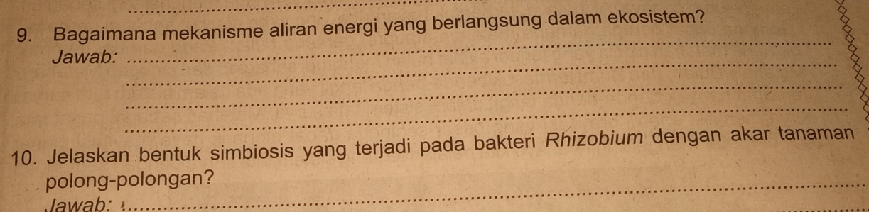 Bagaimana mekanisme aliran energi yang berlangsung dalam ekosistem? 
_ 
_ 
Jawab: 
_ 
_ 
10. Jelaskan bentuk simbiosis yang terjadi pada bakteri Rhizobium dengan akar tanaman 
polong-polongan?