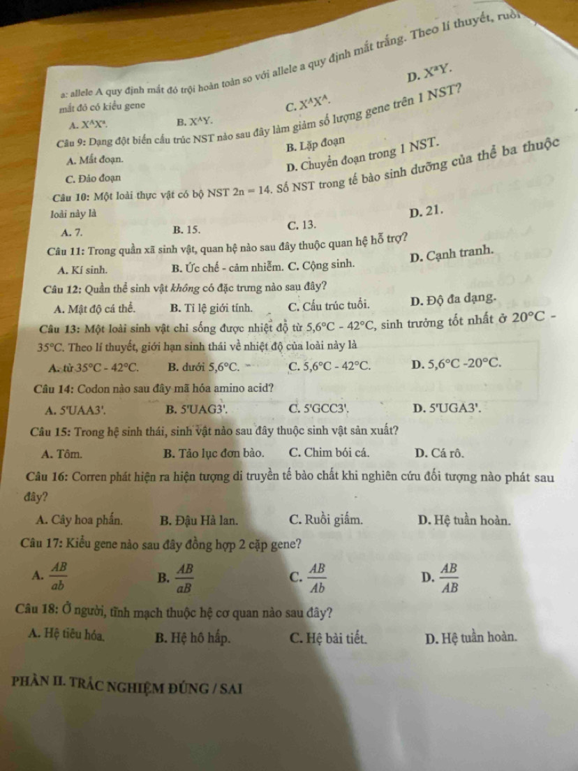 a: allele A quy định mắt đó trội hoàn toàn so với allele a quy định mắt trắng. Theo lí thuyết, ruề
D. X^aY.
mắt đỏ có kiểu gene C. X^AX^A.
Câu 9: Dạng đột biển cầu trúc NST nào sau đây làm giảm số lượng gene trên 1 NST?
A. X^(wedge)X^a. B. X^(wedge)Y.
B. Lặp đoạn
A. Mất đoạn.
D. Chuyển đoạn trong 1 NST.
Câu 10: Một loài thực vật có bộ NST 2n=14 S Số NST trong tế bào sinh dưỡng của thể ba thuộc
C. Đảo đoạn
loài này là
D. 21.
A. 7. B. 15. C. 13.
Câu 11: Trong quần xã sinh vật, quan hệ nào sau đây thuộc quan hệ hỗ trợ?
D. Cạnh tranh.
A. Kí sinh. B. Ức chế - cảm nhiễm. C. Cộng sinh.
Câu 12: Quần thể sinh vật không có đặc trưng nào sau đây?
A. Mật độ cá thể. B. Tỉ lệ giới tính. C. Cấu trúc tuổi. D. Độ đa dạng.
Câu 13: Một loài sinh vật chi sống được nhiệt độ từ 5,6°C-42°C 2, sinh trưởng tốt nhất ở 20°C-
35°C. Theo lí thuyết, giới hạn sinh thái về nhiệt độ của loài này là
A. từ 35°C-42°C. B. dưới 5,6°C. C. 5,6°C-42°C. D. 5,6°C-20°C.
Câu 14: Codon nào sau đây mã hóa amino acid?
A. 5'UAA3'. B. 5'UAG3'. C. 5'GCC3'. D. 5'UGA3'.
Câu 15: Trong hệ sinh thái, sinh vật nào sau đây thuộc sinh vật sản xuất?
A. Tôm. B. Tảo lục đơn bào. C. Chim bói cá. D. Cá rô.
Câu 16: Corren phát hiện ra hiện tượng di truyền tế bào chất khi nghiên cứu đối tượng nào phát sau
đây?
A. Cây hoa phần. B. Đậu Hà lan. C. Ruồi giấm. D. Hệ tuần hoàn.
Câu 17: Kiểu gene nào sau đây đồng hợp 2 cặp gene?
A.  AB/ab   AB/aB   AB/Ab   AB/AB 
B.
C.
D.
Câu 18: Ở người, tĩnh mạch thuộc hệ cơ quan nào sau đây?
A. Hệ tiêu hóa, B. Hệ hô hấp. C. Hệ bài tiết. D. Hệ tuần hoàn.
phÀN II. TRÁC NGHIệM ĐÚNG / SAI